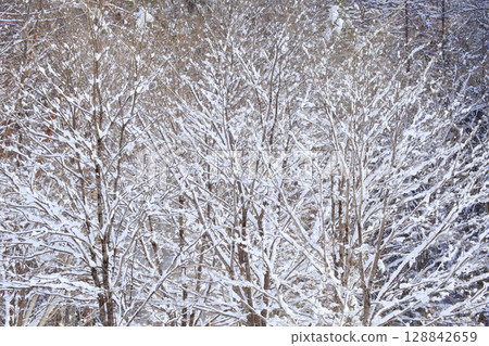 Yubukawa Onsen Yubukawa Onsen 128842659