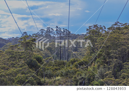 Transmission lines running through a forest in the Blue Mountains Transmission lines running through a forest in the Blue Mountains 128843933