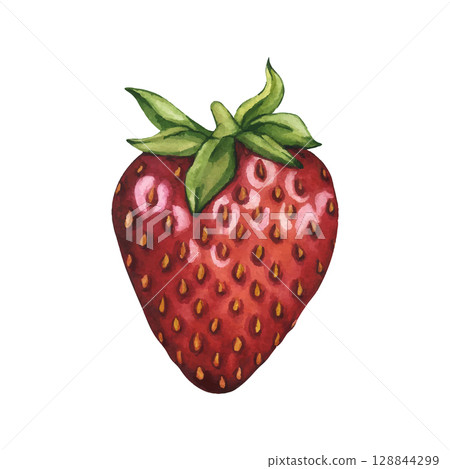 Bright and juicy strawberries isolated on white background. Vector. Watercolor illustration of ripe red berry hand painted. Strawberry isolated. Summer Clipart for tea, jam or natural cosmetics label Bright and juicy strawberries isolated on white background. Vector. Watercolor illustration of ripe red berry hand painted. Strawberry isolated. Summer Clipart for tea, jam or natural cosmetics label 128844299