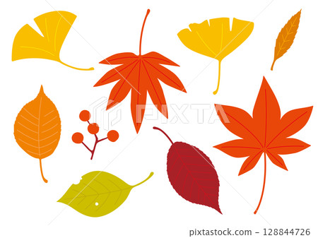 簡單平坦的秋葉集 簡單平坦的秋葉集 128844726