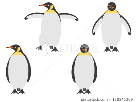 A set of illustrations of emperor penguins walking and flapping their wings facing forward 128845399