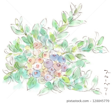 Watercolor illustration of a summer plant, blueberry fruit beginning to turn color 128845770