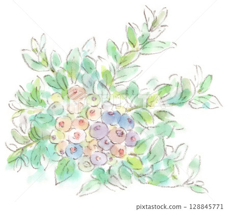 Watercolor illustration of a summer plant, blueberry fruit beginning to turn color 128845771