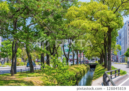 "Cityscape" Office street and street trees (Kintetsu Yokkaichi Station West Central Street, Yokkaichi City, Mie Prefecture) "Cityscape" Office street and street trees (Kintetsu Yokkaichi Station West Central Street, Yokkaichi City, Mie Prefecture) 128845819