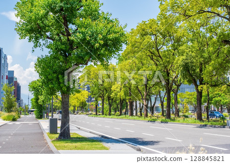"Cityscape" Office street and street trees (Kintetsu Yokkaichi Station West Central Street, Yokkaichi City, Mie Prefecture) 128845821
