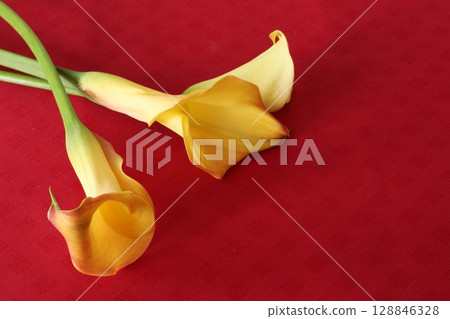 黃色花 黃色花 128846328