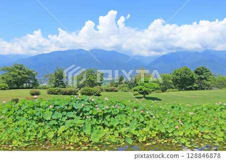 安曇野池田工藝公園的蓮花池 安曇野池田工藝公園的蓮花池 128846878