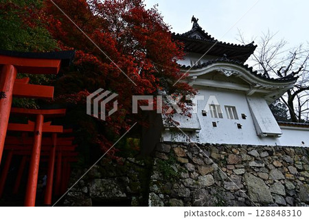 Autumn leaves of Izushi Castle 128848310