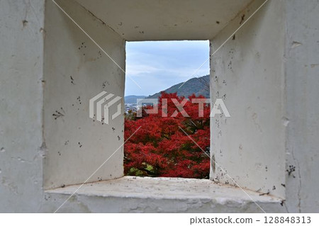 出石城的秋葉 出石城的秋葉 128848313