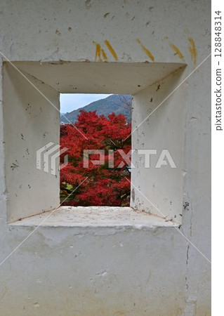 出石城的秋葉 出石城的秋葉 128848314