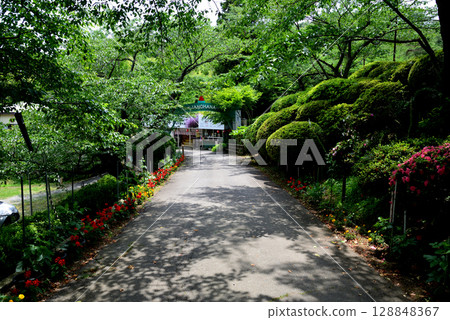 Snake's Nose 2025-6-21 #1 128848367