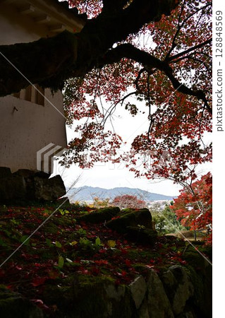 Autumn leaves of Izushi Castle 128848569