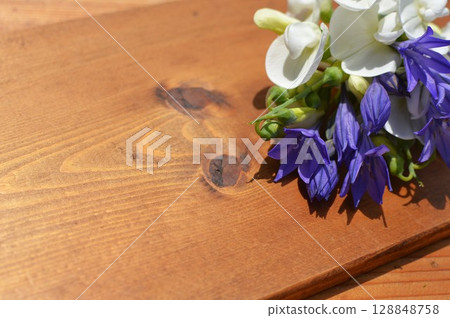 Blue-purple triteria and white summer sweet pea flowers 128848758