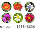 collection of circle flowers stickers. circle tags with flowers on white background 128848830