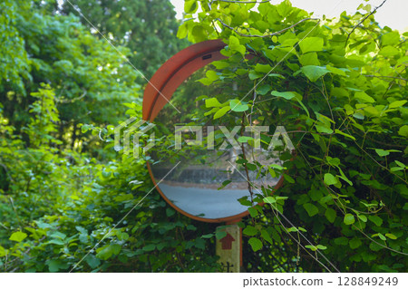 A convex mirror covered in plants 128849249