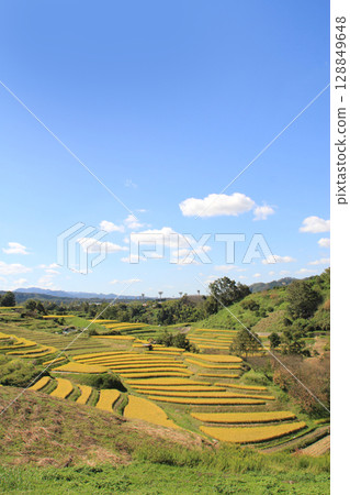 Osaka's only Mura Chihayasaka village Osaka's only Mura Chihayasaka village 128849648