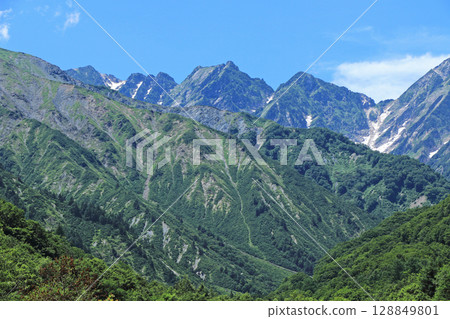 Summer in the Northern Alps, Tateyama Mountain Range: Fuchinokage 128849801