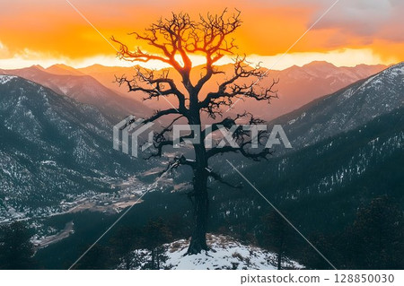 Silhouette Tree Against Golden Sunset in Snowy Mountain Valley L 128850030