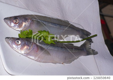 Silverside fish with parsley , on the plate     128850640