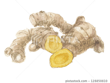 Turmeric root painted in watercolor Turmeric root painted in watercolor 128850810