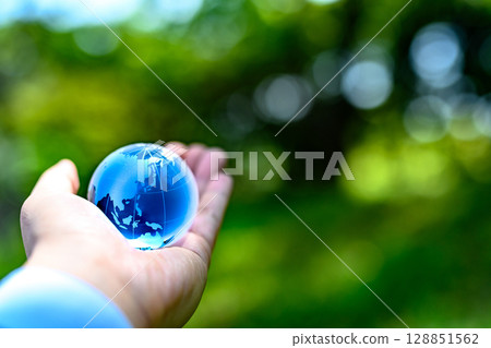 水晶球高高聳立在美麗的新綠之上 - 生態圖像 - 正常顏色 128851562