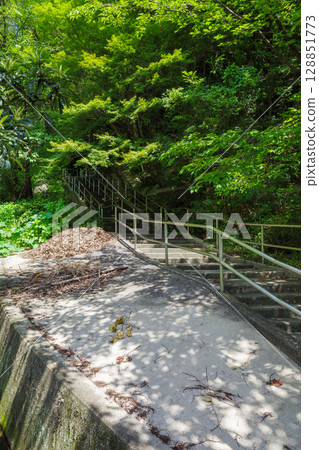 Blue leaves Blue leaves 128851773