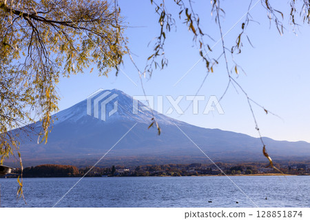 從河口湖眺望秋天白雪皚皚的富士山 128851874