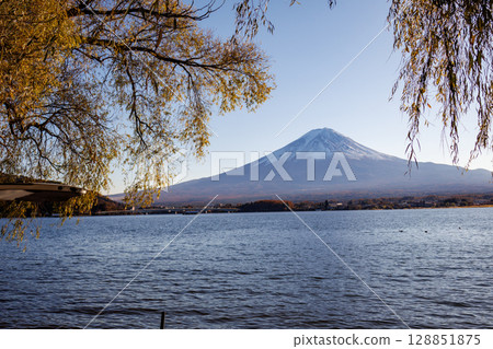 從河口湖眺望秋天白雪皚皚的富士山 128851875