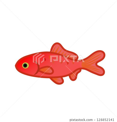 日本金魚的插圖 日本金魚的插圖 128852141