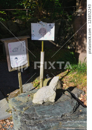 鎌倉神社龜若丸(神奈川縣鎌倉市) 鎌倉神社龜若丸(神奈川縣鎌倉市) 128852243