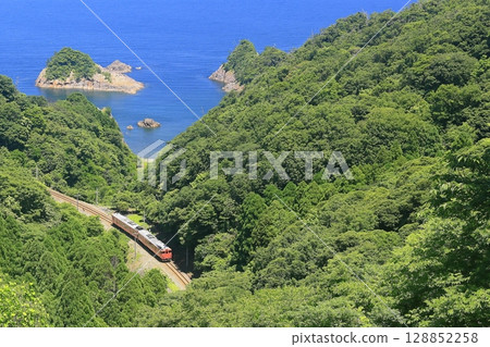 Summer Sanin Main Line 128852258