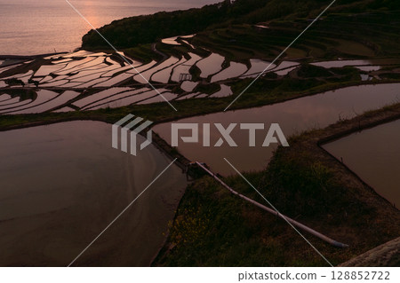 Nagasaki Prefecture: Tsuchiya rice terraces at dusk - a pristine Japanese landscape Nagasaki Prefecture: Tsuchiya rice terraces at dusk - a pristine Japanese landscape 128852722