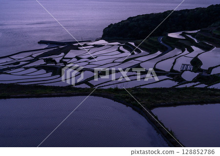 長崎縣：黃昏時的土屋梯田－原始的日本風景 128852786