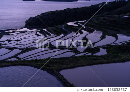長崎縣:黃昏時的土屋梯田-原始的日本風景 長崎縣:黃昏時的土屋梯田-原始的日本風景 128852787
