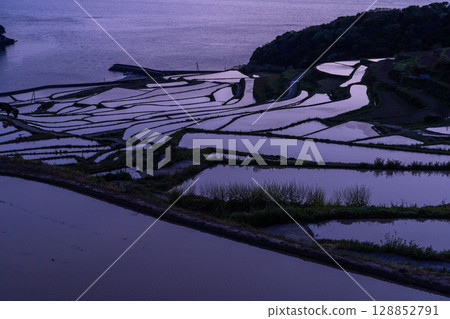 長崎縣:黃昏時的土屋梯田-原始的日本風景 長崎縣:黃昏時的土屋梯田-原始的日本風景 128852791