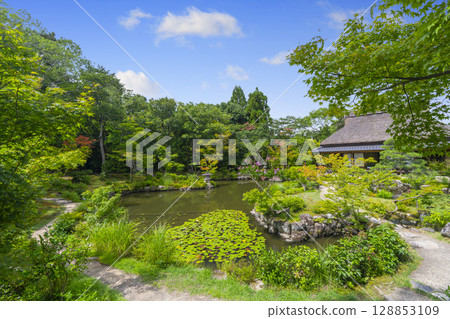 奈良風景園林依水園三虎亭 128853109