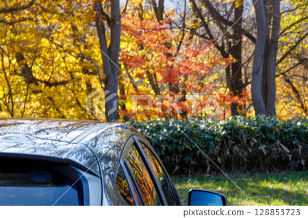 秋天的色彩和汽車風景 128853723