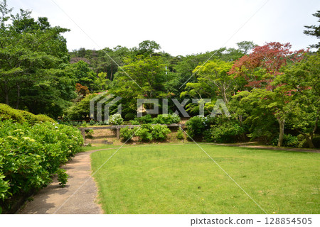 蛇鼻 2025-6-21 #35 128854505