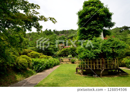 蛇鼻 2025-6-21 #36 128854506