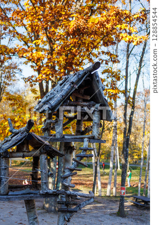 Rows of birch trees in autumn colors 128854544