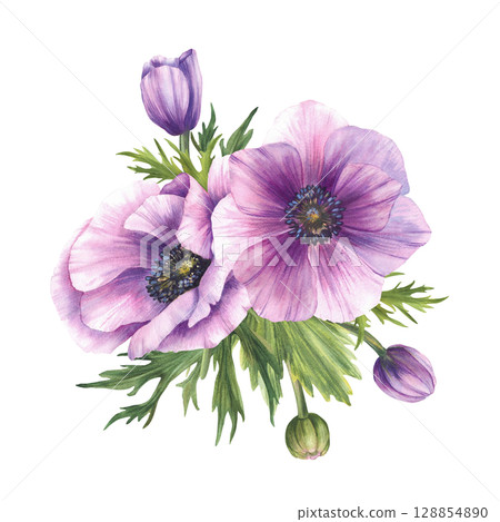 Watercolor Anemone, Windflowers Pink buds with eucalyptus green leaves. Purple flowers bouquet for wedding, birthday greeting card floral design. Hand drawn isolated on white background illustration 128854890