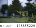 Southern 128855229