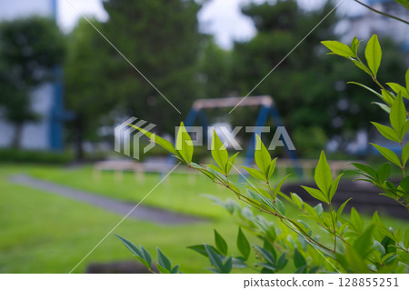 夏季居住 夏季居住 128855251