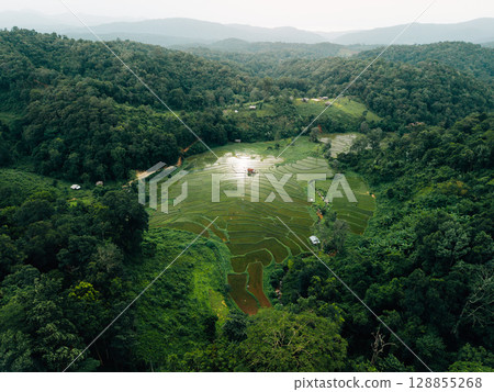 Aerial view of newly planted rice fields on Asian hills Aerial view of newly planted rice fields on Asian hills 128855268