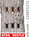 Stag Beetle Warrior 5 (Oak Tree and Red Letters) 128855272