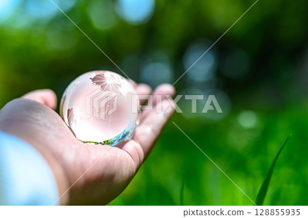 A crystal globe held up over beautiful new greenery - Ecology image - Normal color 128855935