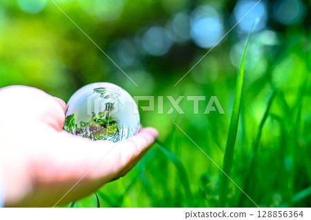 一塊新鮮的綠草上方懸掛著一個水晶球——一幅生態圖像 128856364