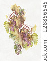 Grapes starting to turn color 128856545