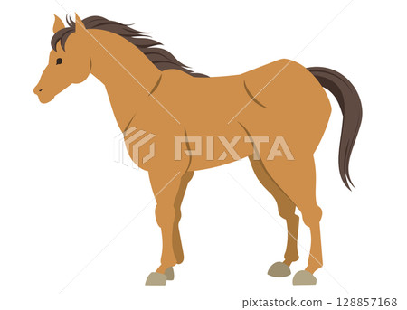 Illustration of a standing horse 128857168