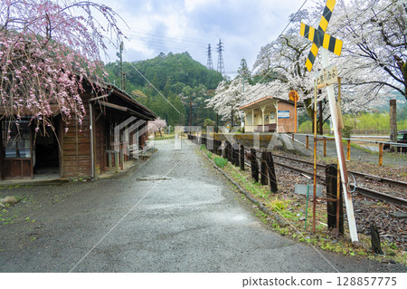 Aobe Station on the Oigawa Main Line of the Oigawa Railway in Kawane-cho, Shizuoka Prefecture, in the spring rain 128857775
